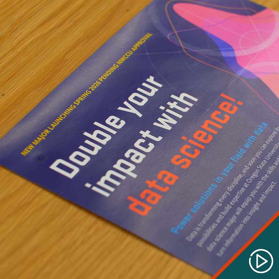 Data Science Flier